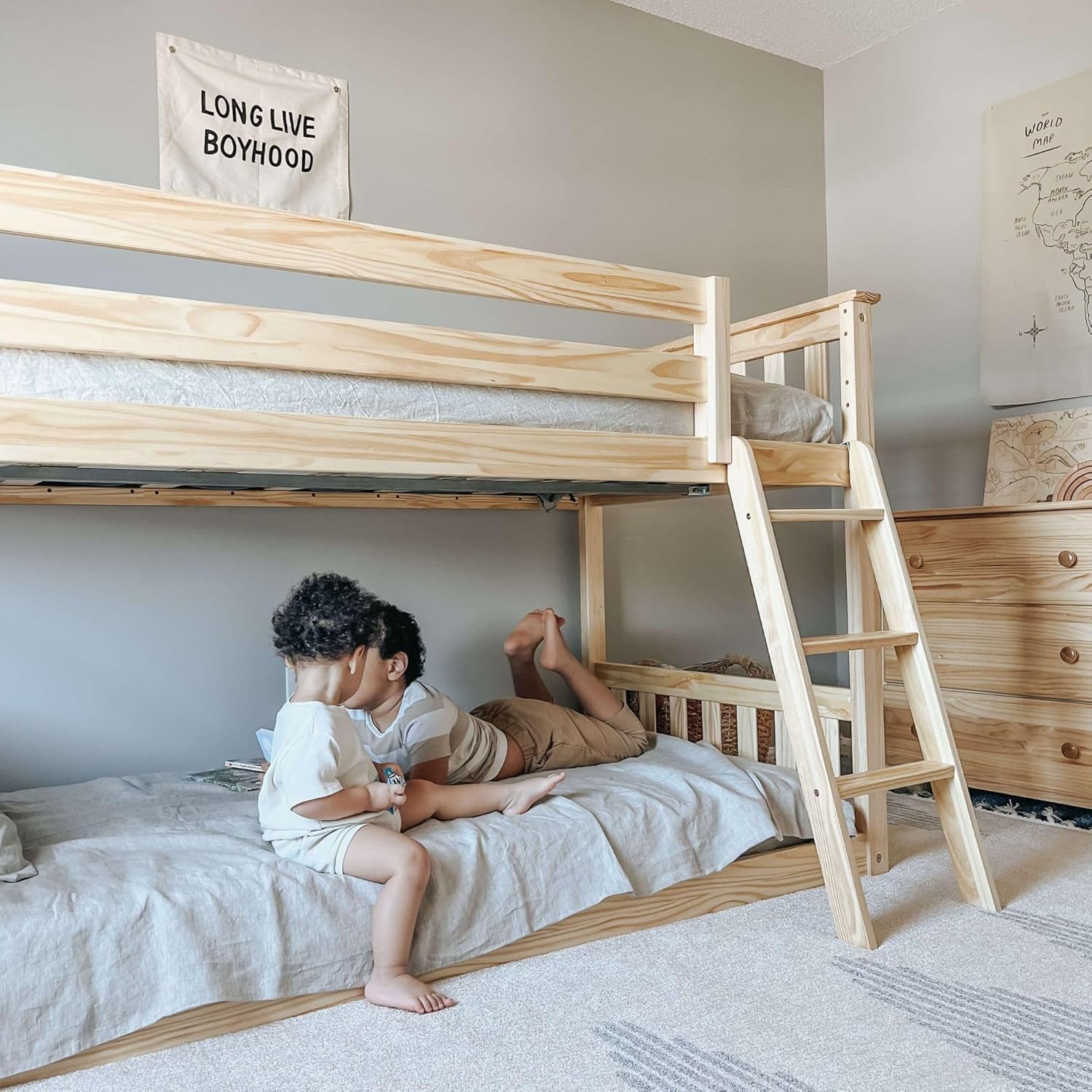 Kids Bunk Beds Collection